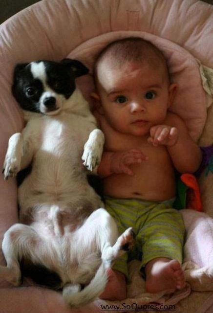 Baby pics, babies, cute babies, babies friends, baby with puppy, baby with dog, baby companion, cute babies