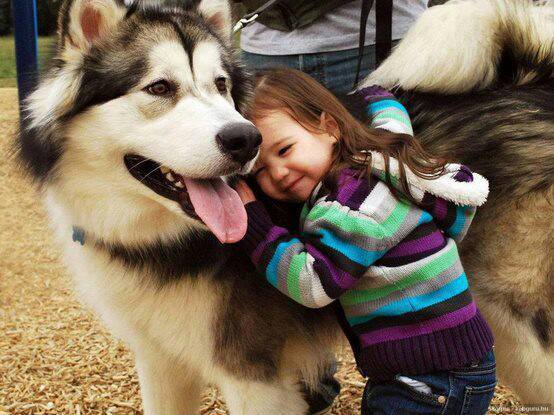 baby pics, babies, cute babies, babies friends, baby with puppy, baby with dog, baby companion, cute babies
