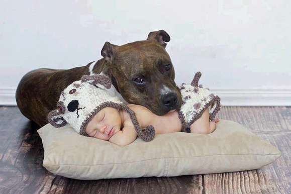 baby pics, babies, cute babies, babies friends, baby with puppy, baby with dog, baby companion, cute babies
