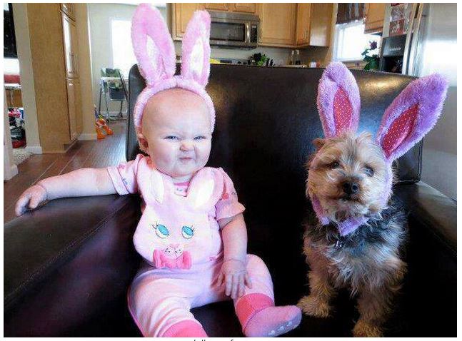 Baby pics, babies, cute babies, babies friends, baby with puppy, baby with dog, baby companion, cute babies