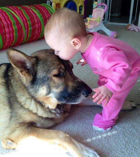 baby pics, babies, cute babies, babies friends, baby with puppy, baby with dog, baby companion, cute babies