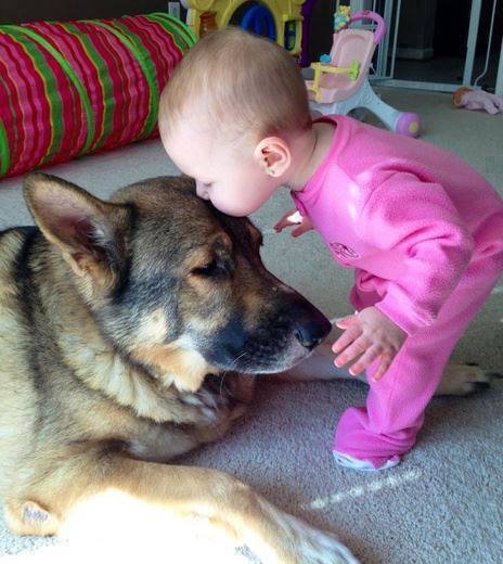 Baby pics, babies, cute babies, babies friends, baby with puppy, baby with dog, baby companion, cute babies