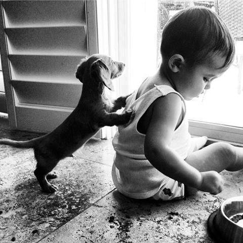 Baby pics, babies, cute babies, babies friends, baby with puppy, baby with dog, baby companion, cute babies