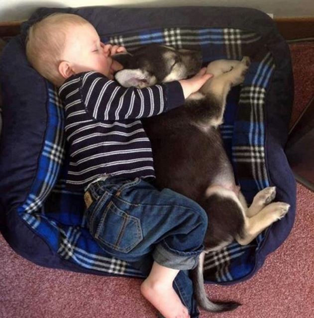 baby pics, babies, cute babies, babies friends, baby with puppy, baby with dog, baby companion, cute babies