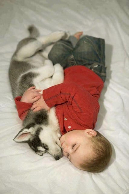 Baby pics, babies, cute babies, babies friends, baby with puppy, baby with dog, baby companion, cute babies