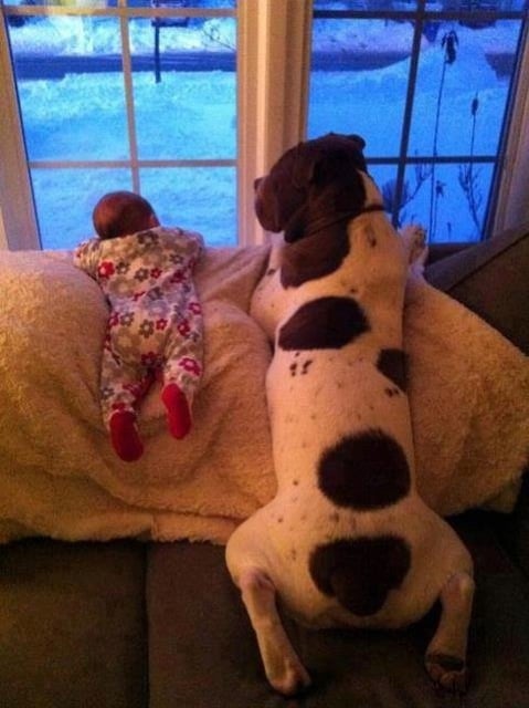 Baby pics, babies, cute babies, babies friends, baby with puppy, baby with dog, baby companion, cute babies