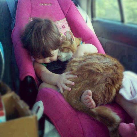 baby pics, babies, cute babies, babies friends, baby with puppy, baby with dog, baby companion, cute babies