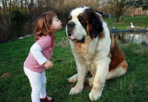 baby pics, babies, cute babies, babies friends, baby with puppy, baby with dog, baby companion, cute babies