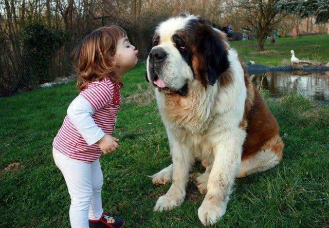 baby pics, babies, cute babies, babies friends, baby with puppy, baby with dog, baby companion, cute babies