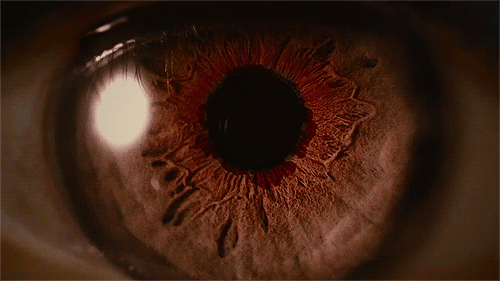 Lian Kao, contact lens, health hazards, effect of contact lens, amoeba, Wu Jian-Lian, omg, avoid contact lens