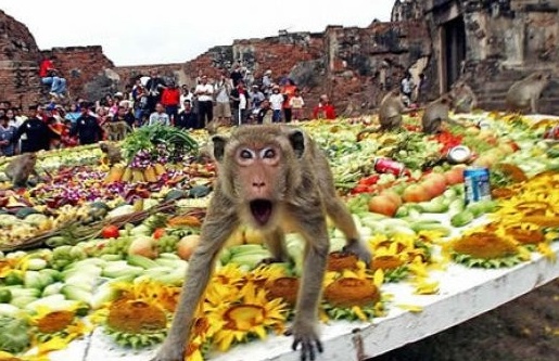 Thailand_monkey_buffet