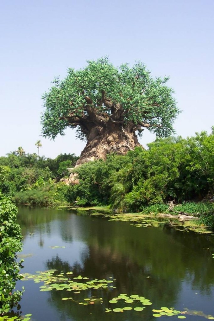 mysterious tree