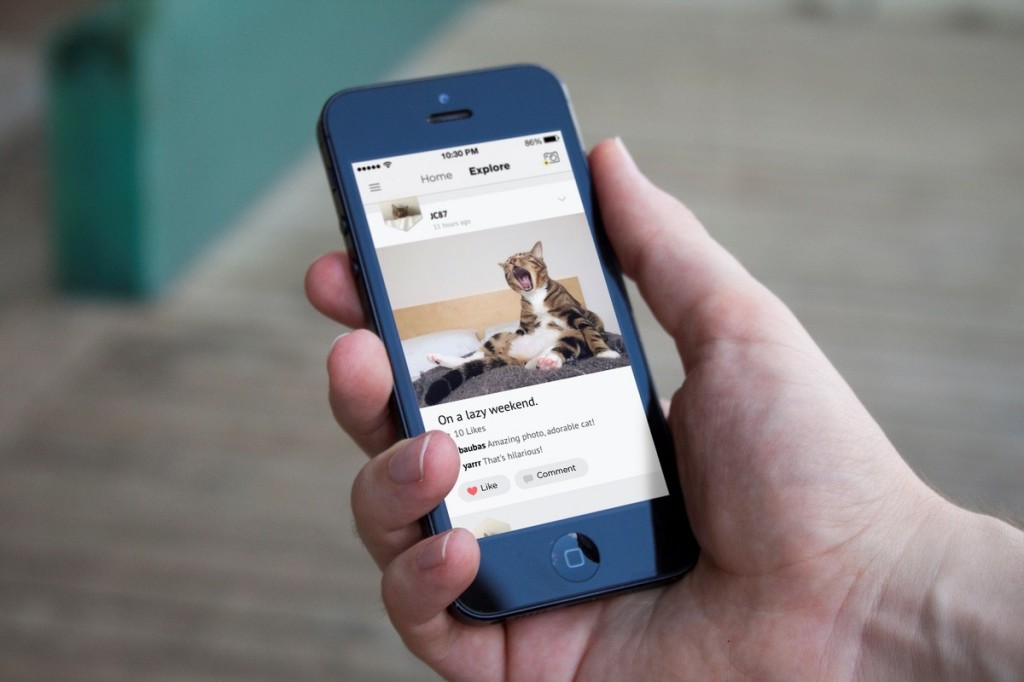 petcube, helps people to monitor and play with their pets,Kickstarter-backed Petcube,San Francisco Bay AreaCo-founder Alex Neskin,Yaroslav Azhnyuk and Andrey Klen,Celebrity pets of the internet,a golden retriever with 182,000 followers on Vine