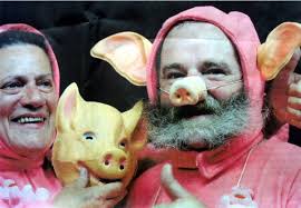 Pig-festival-france