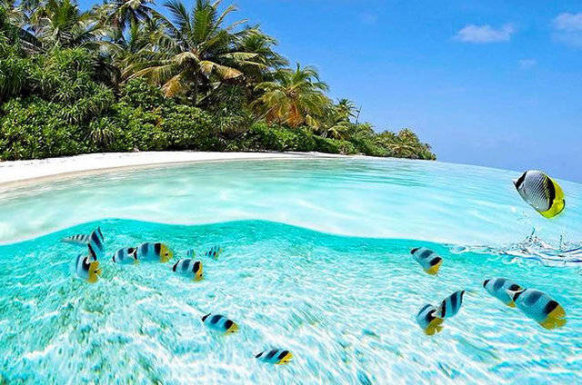 The maldives islands