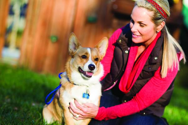 pets tips, pets care, tips for puppy, animal lovers, animal facts, animal  how to handle pets, how to handle dogs puppies, puppy training, puppy tips, new dog, wow to train a puppy, how to handle puppy, housetraining tips,
