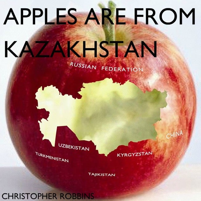 Travel tips kazakhstan, facts about kazakhstan, things about kazakhstan, kazakhstan cultural, kazakhstan history, kazakhstan horse, 2030, nauryz, largest landlocked country in the world, amazons from kazakhstan, apple from kazakhstan, kazakhstan apple, kazakh, koumiss, baykonur cosmodrome, biggest apples in the world, apple origin