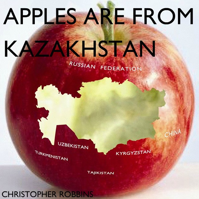 travel tips kazakhstan, facts about kazakhstan, things about kazakhstan, kazakhstan cultural, kazakhstan history, kazakhstan horse, 2030, nauryz, largest landlocked country in the world, amazons from kazakhstan, apple from kazakhstan, kazakhstan apple, kazakh, koumiss, baykonur cosmodrome, biggest apples in the world, apple origin
