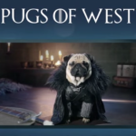 pugs of westeros