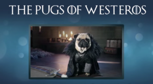 game of thrones,got,pugs,Robb Stark, Ned Stark and Jon Snow,King Joffrey,Tyrion Lannister,Daeneys Targaryen,Grand Maester Pycelle and Oberyn Martell,Petyr Baelish aka Littlefinger,Varys,Tyrion Lannister, Daenerys Targaryen and Jon Snow,pugs of westeros