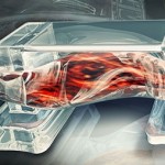 tiny-walking-bio-bots-are-powered-by-muscle-cells-and-controlled-by-an-electric-field