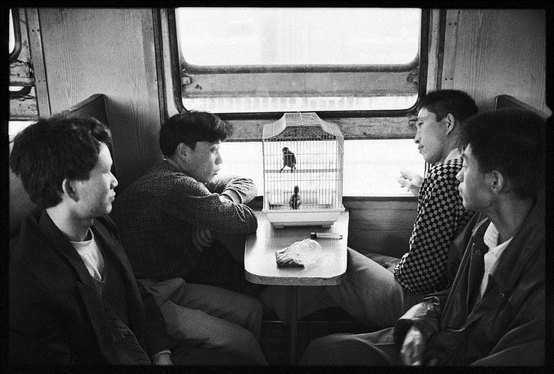 China, people, photography, trains, wang fuchun, history images, historic images, old china photos, cute chinese peoples, chinese kids, black and white photos, china black and white, black & white china, chinese in train, chinese life in gtrain, inside chinese train, life in train, chinese family, chinese couples train, chinese kids train, why we love china, black & white photography, wang fuchun photography, beijing