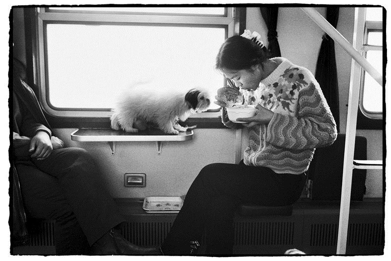 china, people, photography, trains, wang fuchun, history images, historic images, old china photos, cute chinese peoples, chinese kids, black and white photos, china black and white, black & white china, chinese in train, chinese life in gtrain, inside chinese train, life in train, chinese family, chinese couples train, chinese kids train, why we love china, black & white photography, wang fuchun photography, beijing
