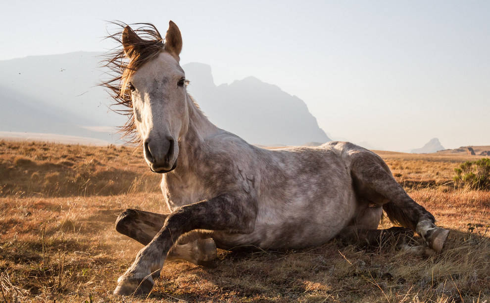 pictures, amazing, wonderful, breath-taking, photography, masterful, delightful