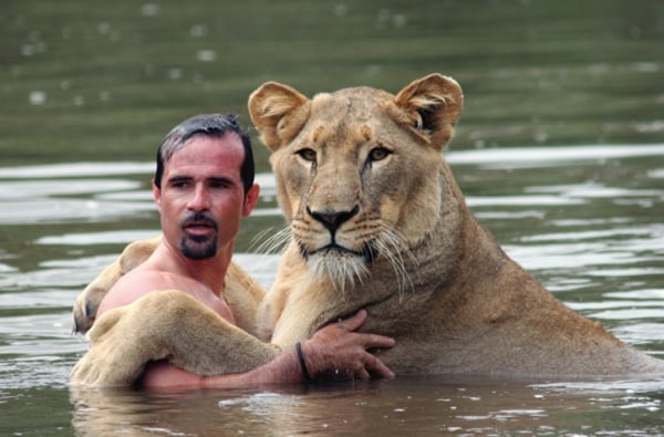 Men with lions, kevin richardson, animal behavior, playing with lions, lion