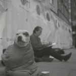 Man_Dog_Poverty_1