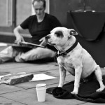 Man_Dog_Poverty_2