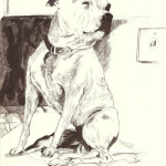 Man_Dog_Poverty_4