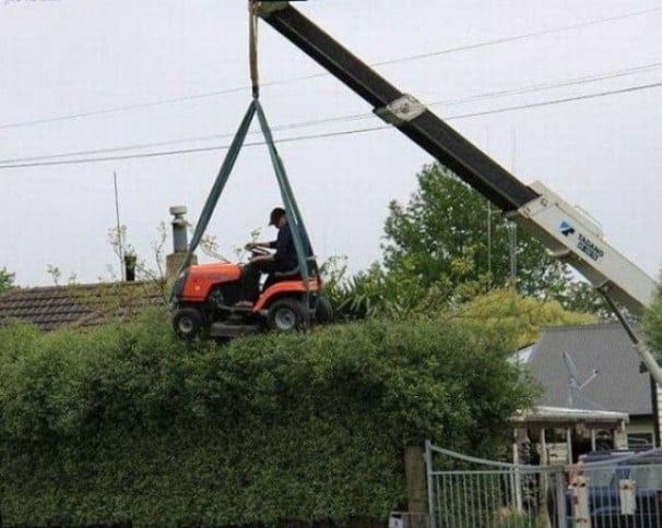 Why women live longer 8