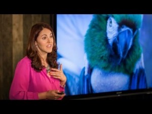 TED, TED Talk, animal madness, depressed animals, dogs, cats, mental health,learning