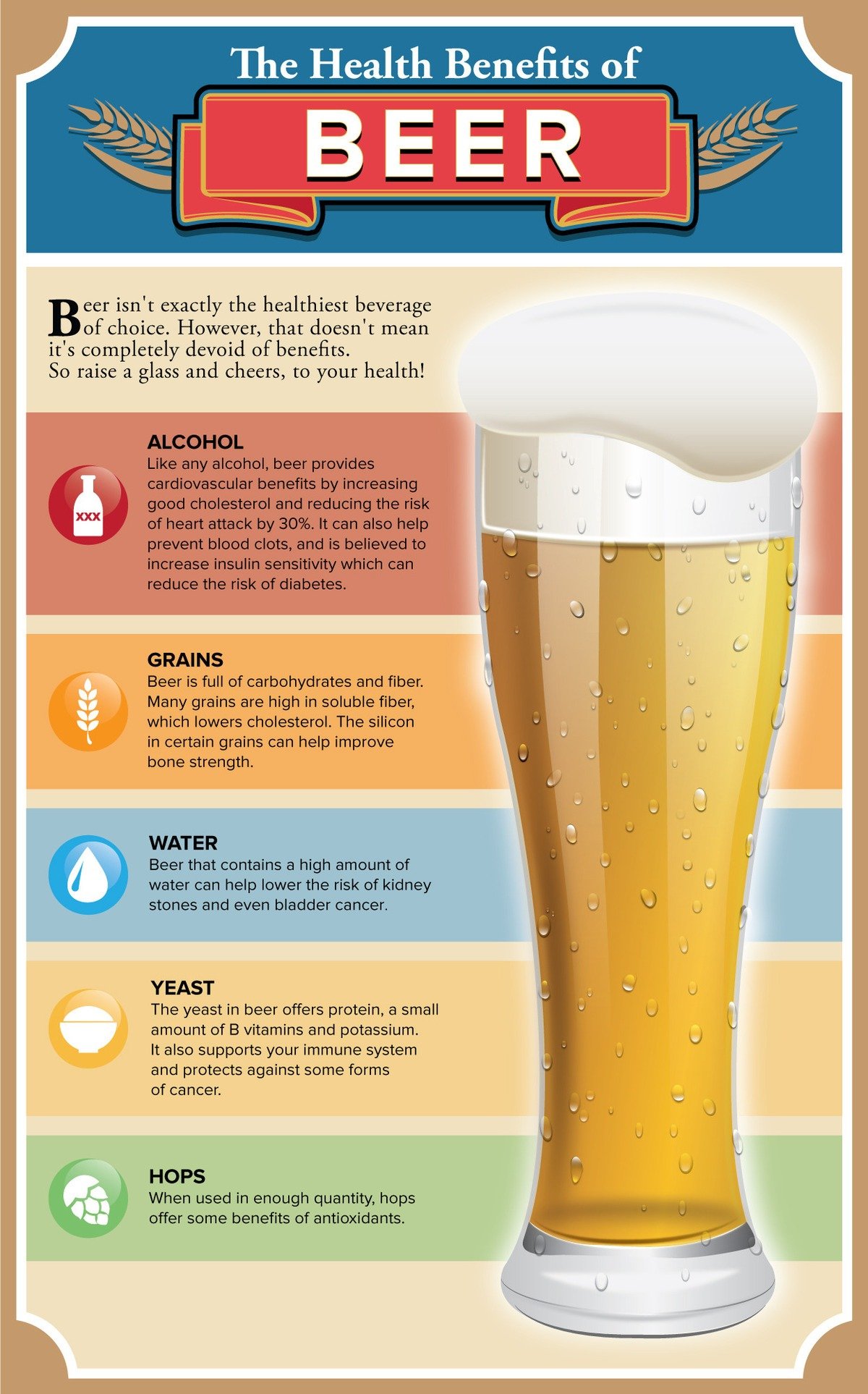 Informative,beer,health benefits of beer,dark beer,yeast, water, grains,love beer