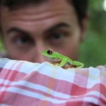 follow_the_frog