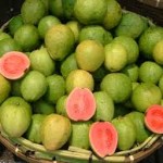 guava