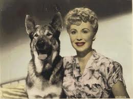 rin tin tin