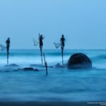stilt-fishermen-sri-lanka-1