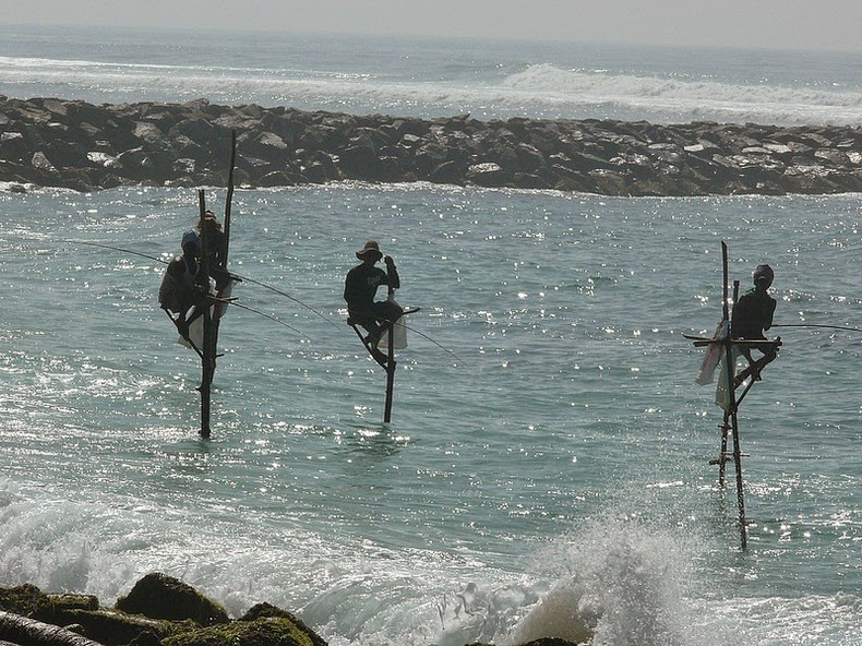 Sri lanka, stilt fishermen, dying tradition, unawatuna, weligama, travel