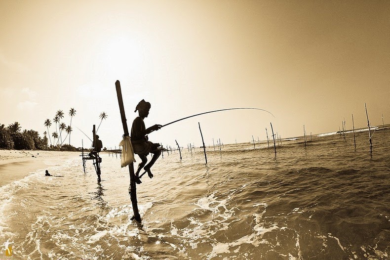 sri lanka, Stilt Fishermen, dying tradition, unawatuna, weligama, travel