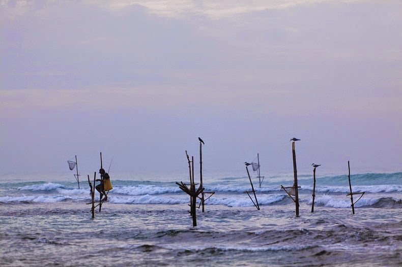 sri lanka, Stilt Fishermen, dying tradition, unawatuna, weligama, travel