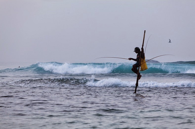 Sri lanka, stilt fishermen, dying tradition, unawatuna, weligama, travel