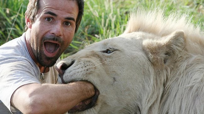Men with lions, kevin richardson, animal behavior, playing with lions, lion