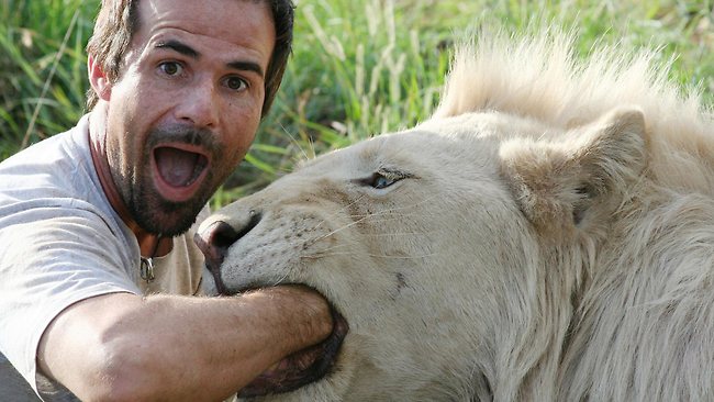 men with lions, Kevin Richardson, animal behavior, playing with lions, lion