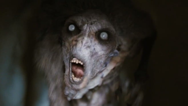 5 Most Terrifying Creatures of the Night !  Reckon Talk