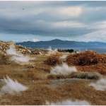 naoya-hatakeyama-blast-7
