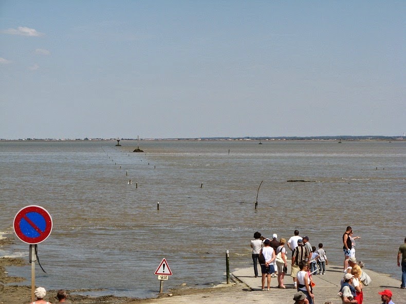 passage du gois, passage du gois photos, france, tidal photo, island of noirmoutier, department of Vendee, tidal, moving to france, travel to france, foulées du gois