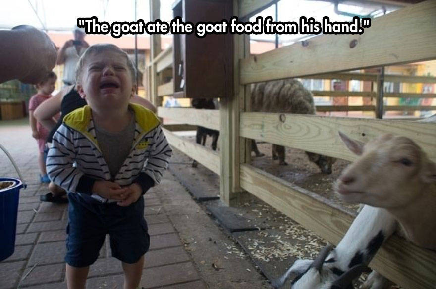crazy kids, cute kids, hilarious photos, why my kid is crying, crying kids photos