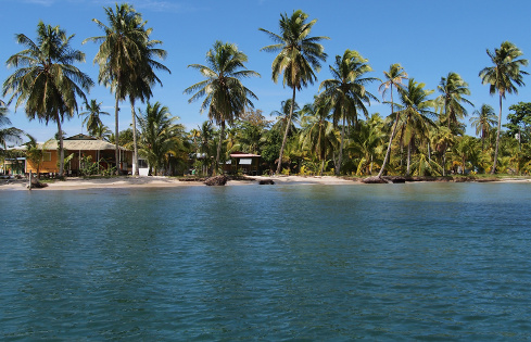 Tropical beach with typical caribbean houses under coconut trees